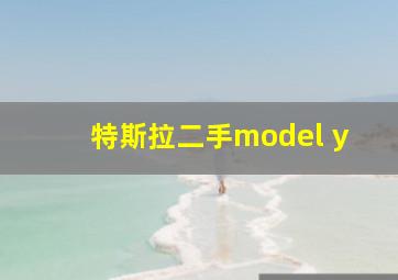 特斯拉二手model y